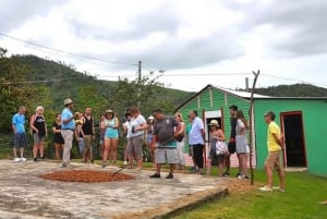 Private Full-Day Safari Adventure in Punta Cana with Pickup