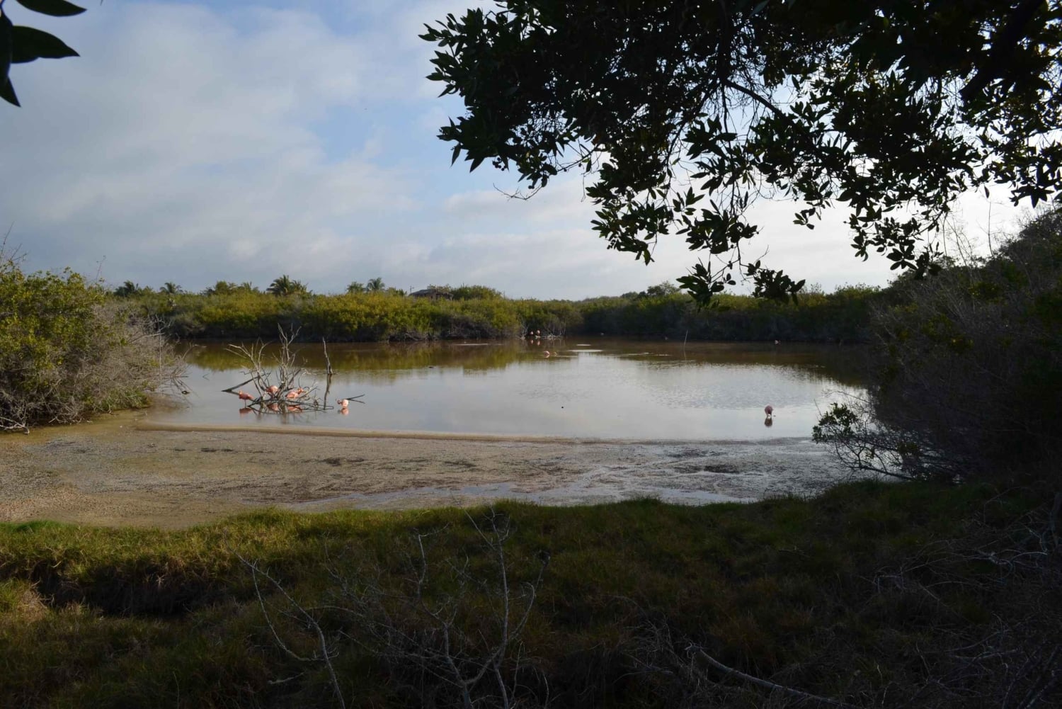 Private: Good Lagoon Exploration in Jaragua National Park