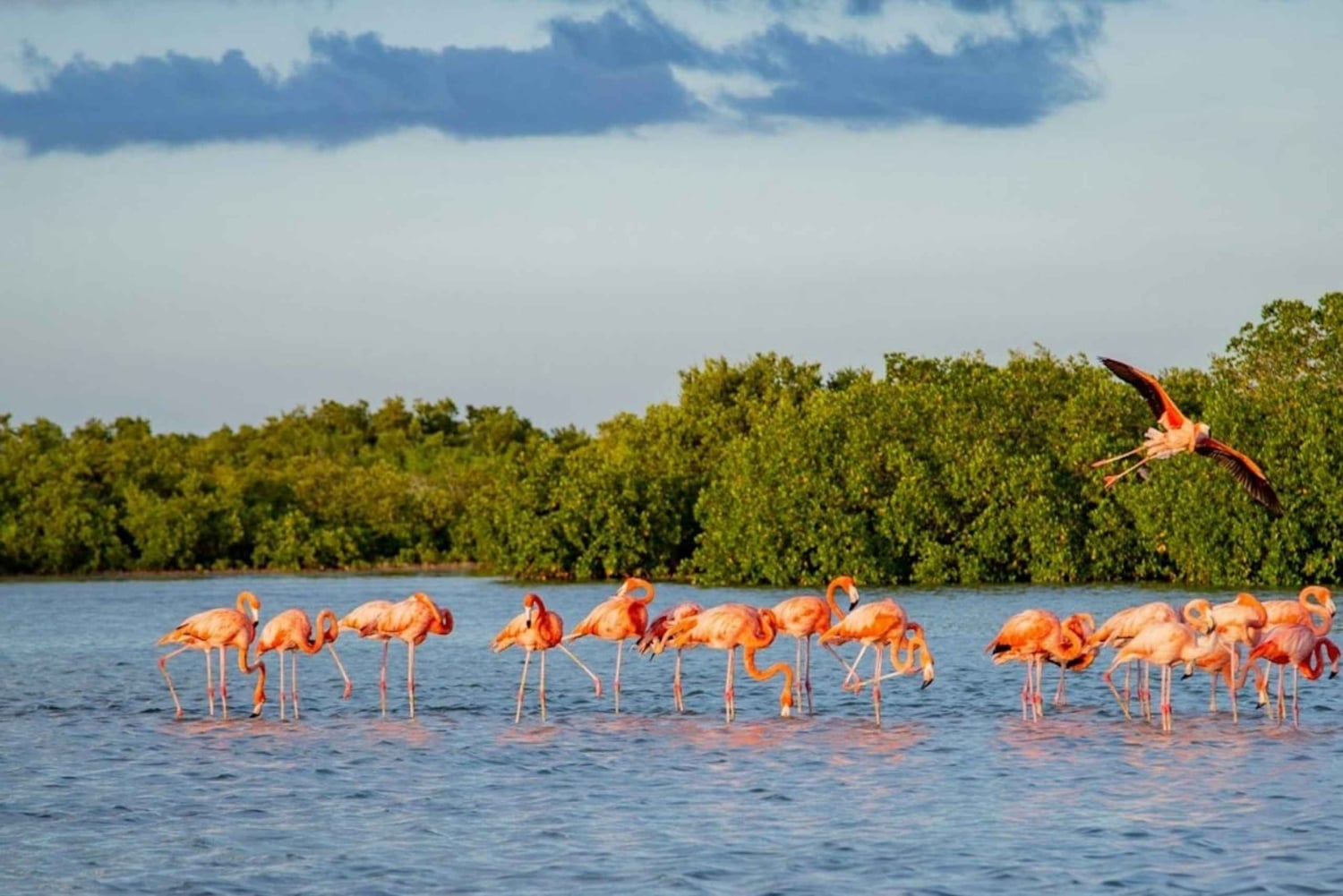 Private: Good Lagoon Exploration in Jaragua National Park