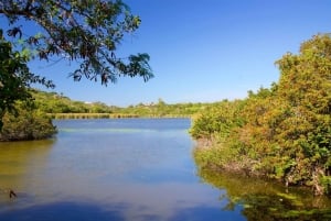 Private: Good Lagoon Exploration in Jaragua National Park