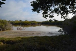Private: Good Lagoon Exploration in Jaragua National Park