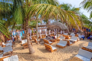 Private: Gourmet Chef Experience in Punta Cana