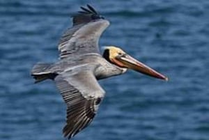 Private: Guided Hike and Kayak Adventure from Boca Chica