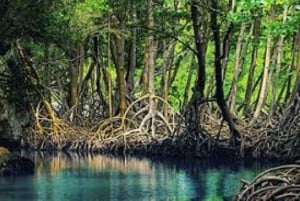 Private: Guided Hike and Kayak Adventure from Boca Chica