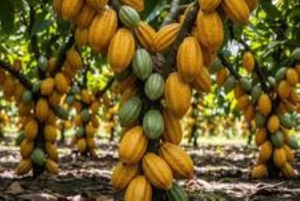 Private: Guided Hike and Kayak Adventure from Boca Chica