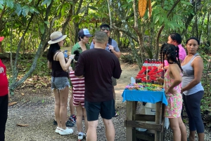 Privat halvdagstur i Punta Cana-Higüey med lokal guide