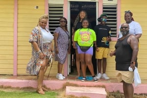 Privat halvdagstur i Punta Cana-Higüey med lokal guide