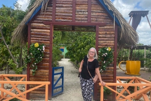 Privat halvdagstur i Punta Cana-Higüey med lokal guide