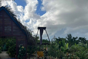 Privat halvdagstur i Punta Cana-Higüey med lokal guide