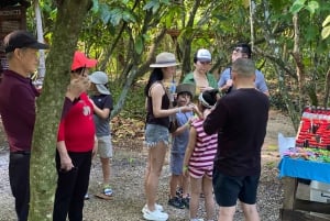 Privat halvdagstur i Punta Cana-Higüey med lokal guide