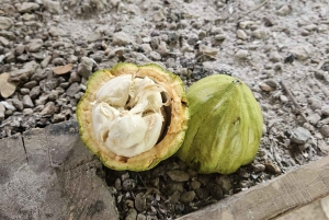 Privat halvdagstur i Punta Cana-Higüey med lokal guide