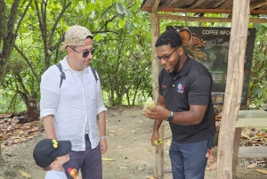 Privat halvdagstur i Punta Cana-Higüey med lokal guide