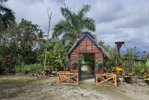 Privat halvdagstur i Punta Cana-Higüey med lokal guide