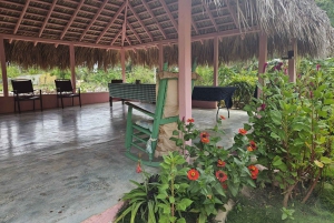 Privat halvdagstur i Punta Cana-Higüey med lokal guide