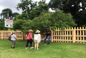 Privat halvdagstur i Punta Cana-Higüey med lokal guide