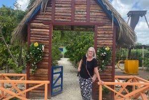 Private Half Day Tour in Punta Cana-Higüey with Local Guide