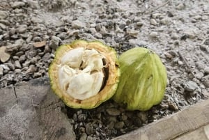 Private Half Day Tour in Punta Cana-Higüey with Local Guide