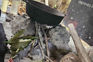 Private Half Day Tour in Punta Cana-Higüey with Local Guide