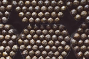 Private Half Day Tour in Punta Cana-Higüey with Local Guide