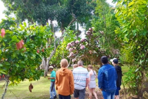 Private Half Day Tour in Punta Cana-Higüey with Local Guide