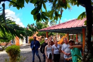 Private Half Day Tour in Punta Cana-Higüey with Local Guide