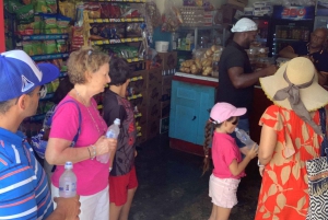 Private Half Day Tour in Punta Cana-Higüey with Local Guide