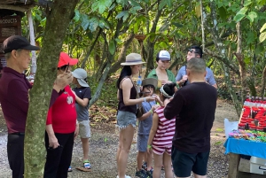 Tour privado de medio día en Punta Cana con guía local