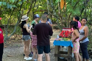 Private Half Day Tour in Punta Cana with Local Guide