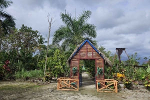 Tour privado de medio día en Punta Cana con guía local