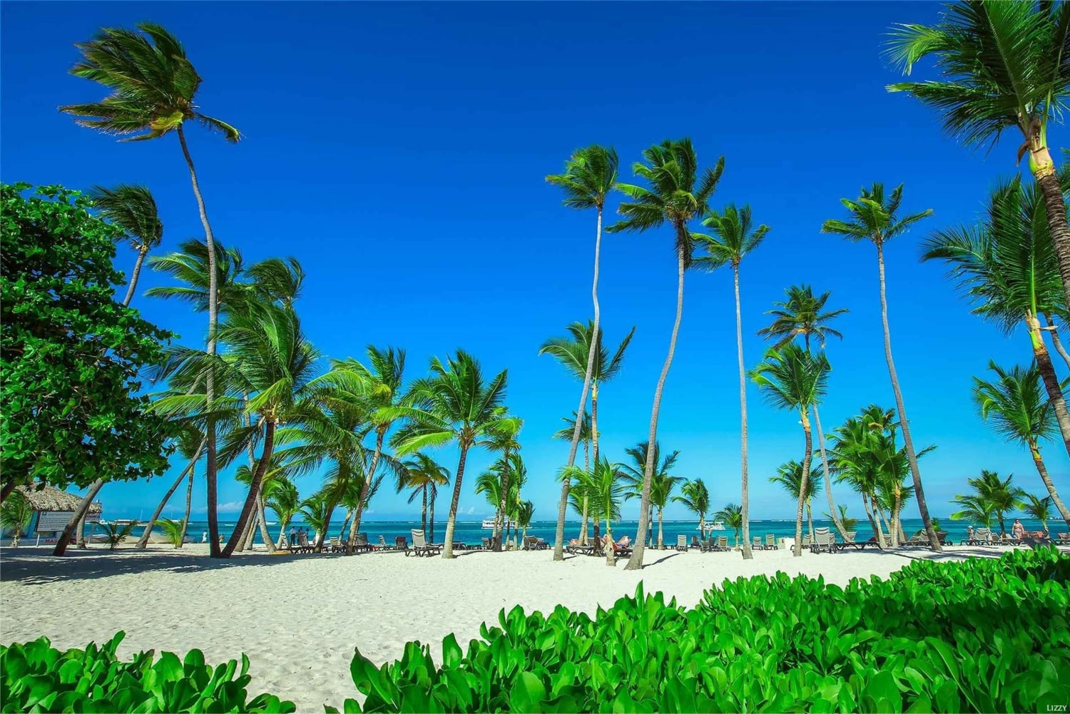 Private: Isla Saona VIP Escape Luxury Beach & Speedboat Tour