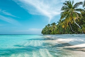 Private: Isla Saona VIP Escape Luxury Beach & Speedboat Tour