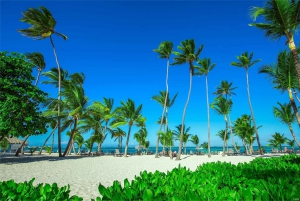 Private: Isla Saona VIP Escape Luxury Beach & Speedboat Tour