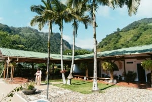 Private: Jungle Buggy Zipline Combo Adventure at La Hacienda