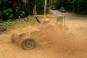 Private: Jungle Buggy Zipline Combo Adventure at La Hacienda
