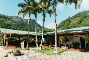 Private: Jungle Buggy Zipline Combo Adventure at La Hacienda