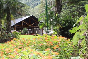 Private: Jungle Buggy Zipline Combo Adventure at La Hacienda