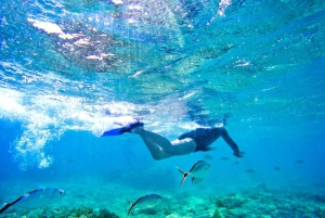 Private Junior Catamaran Tour in Punta Cana with Transportation Included