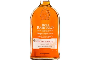 Private Junior Catamaran Tour in Punta Cana with Transportation Included