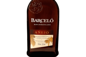 Private Junior Catamaran Tour in Punta Cana with Transportation Included