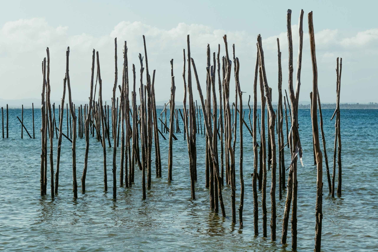 Private: Lago Enriquillo Boat & Wildlife Discovery Tour