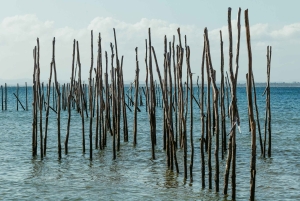 Private: Lago Enriquillo Boat & Wildlife Discovery Tour