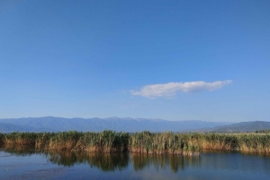 Private: Lago Enriquillo Boat & Wildlife Discovery Tour