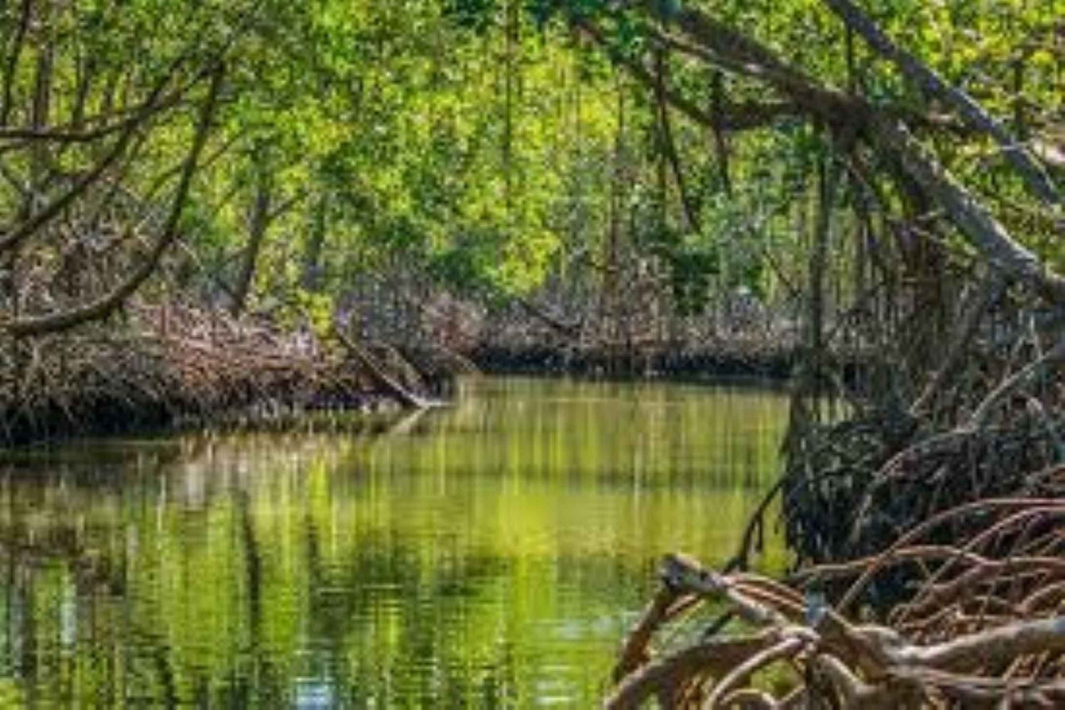 プライベート：ロス・アイティセス国立公園＆カニョ・オンドの天然プールを体験しましょう