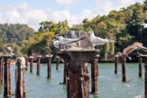 プライベート：ロス・アイティセス国立公園＆カニョ・オンドの天然プールを体験しましょう