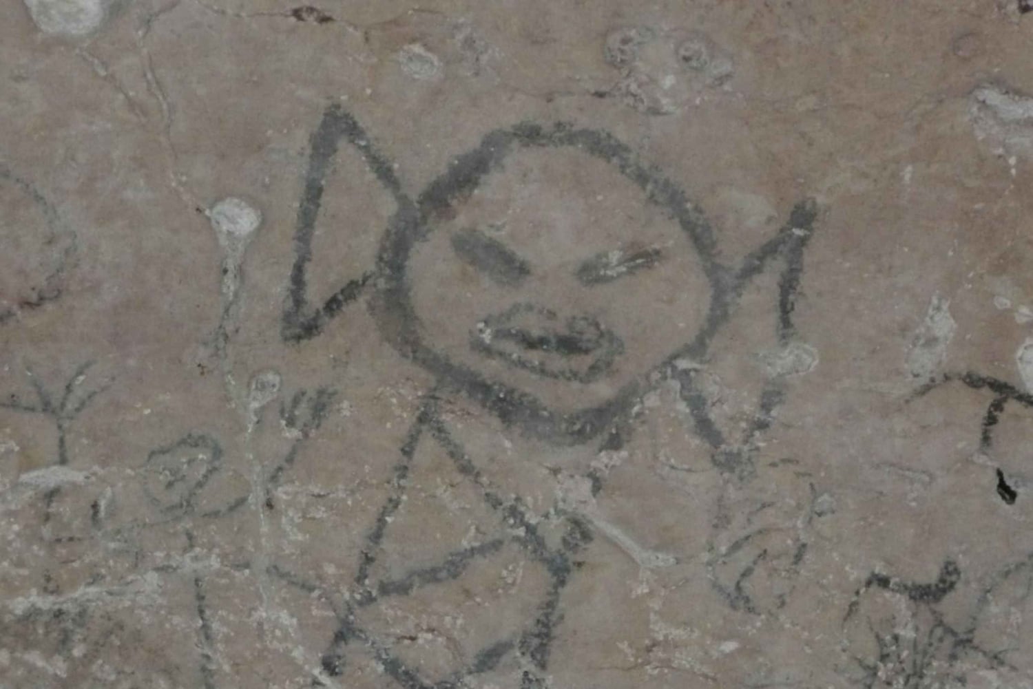 Privé: Los Haitises & Cayo Levantado uit Samana