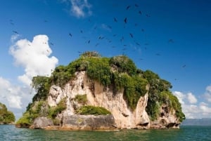 Yksityinen: Samana: Los Haitises & Cayo Levantado alkaen Samana