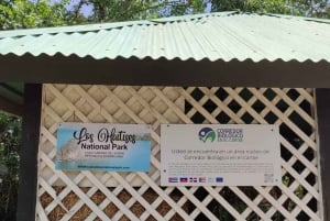 Privé: Los Haitises & Cayo Levantado uit Samana