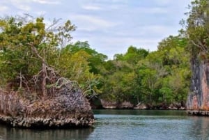 Privat: Los Haitises Nationalpark 2-dages tur med måltider