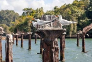 Privat: Los Haitises Nationalpark 2-dages tur med måltider