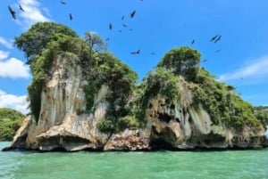 Privat: Los Haitises Nationalpark 2-dages tur med måltider